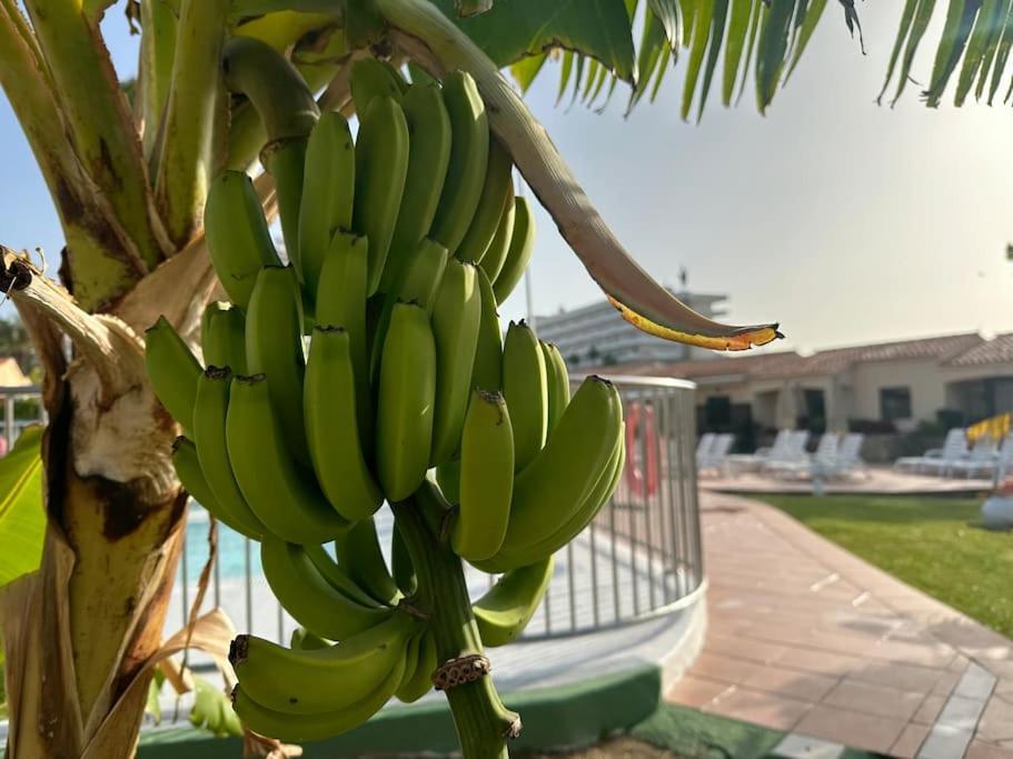 Bungalow Santa Fe Maspalomas  Ngoại thất bức ảnh